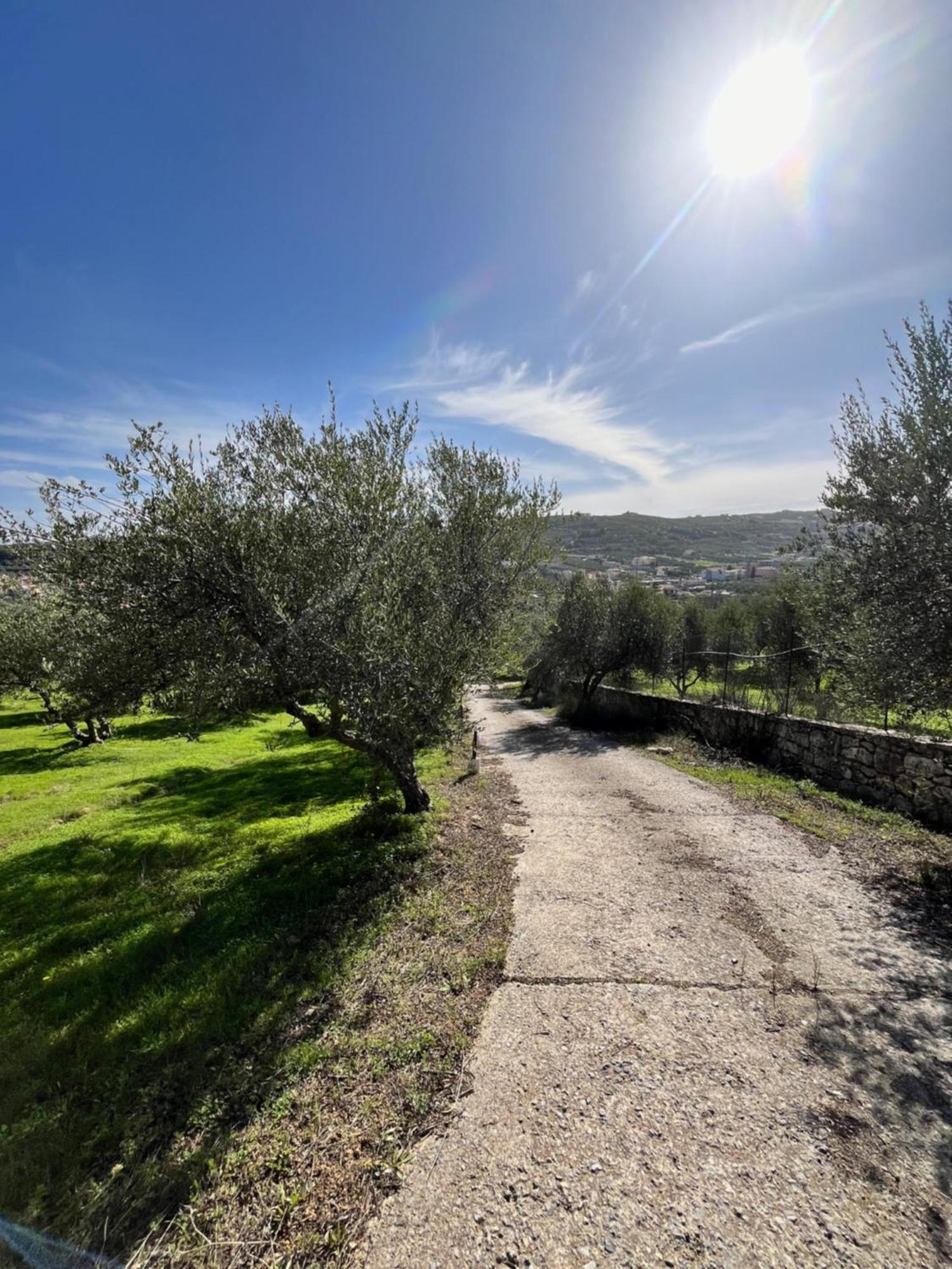 The Olive Grove With Swimming Pool And Breakfast Casa vacanze