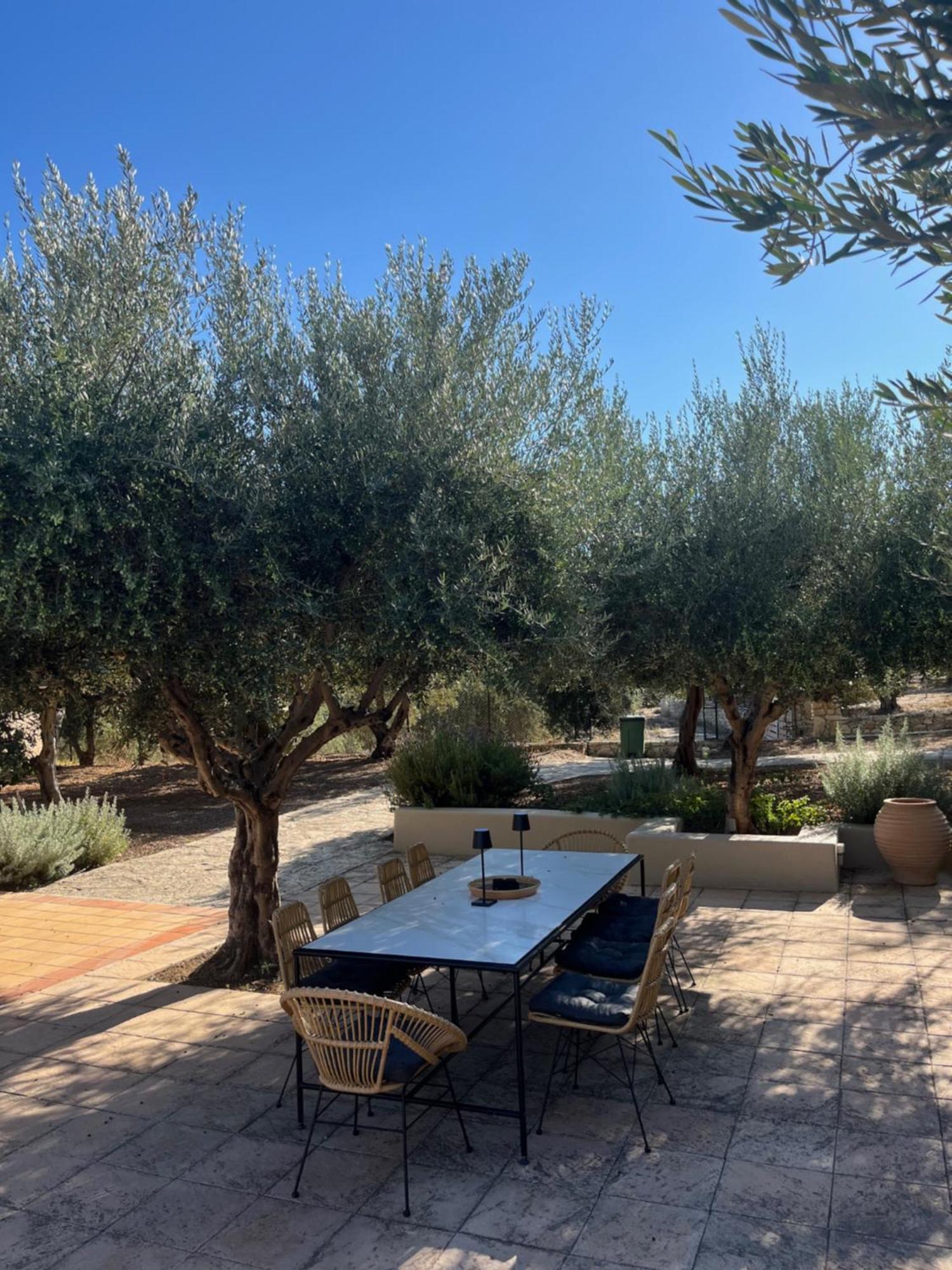 The Olive Grove With Swimming Pool And Breakfast Casa vacanze Archanes