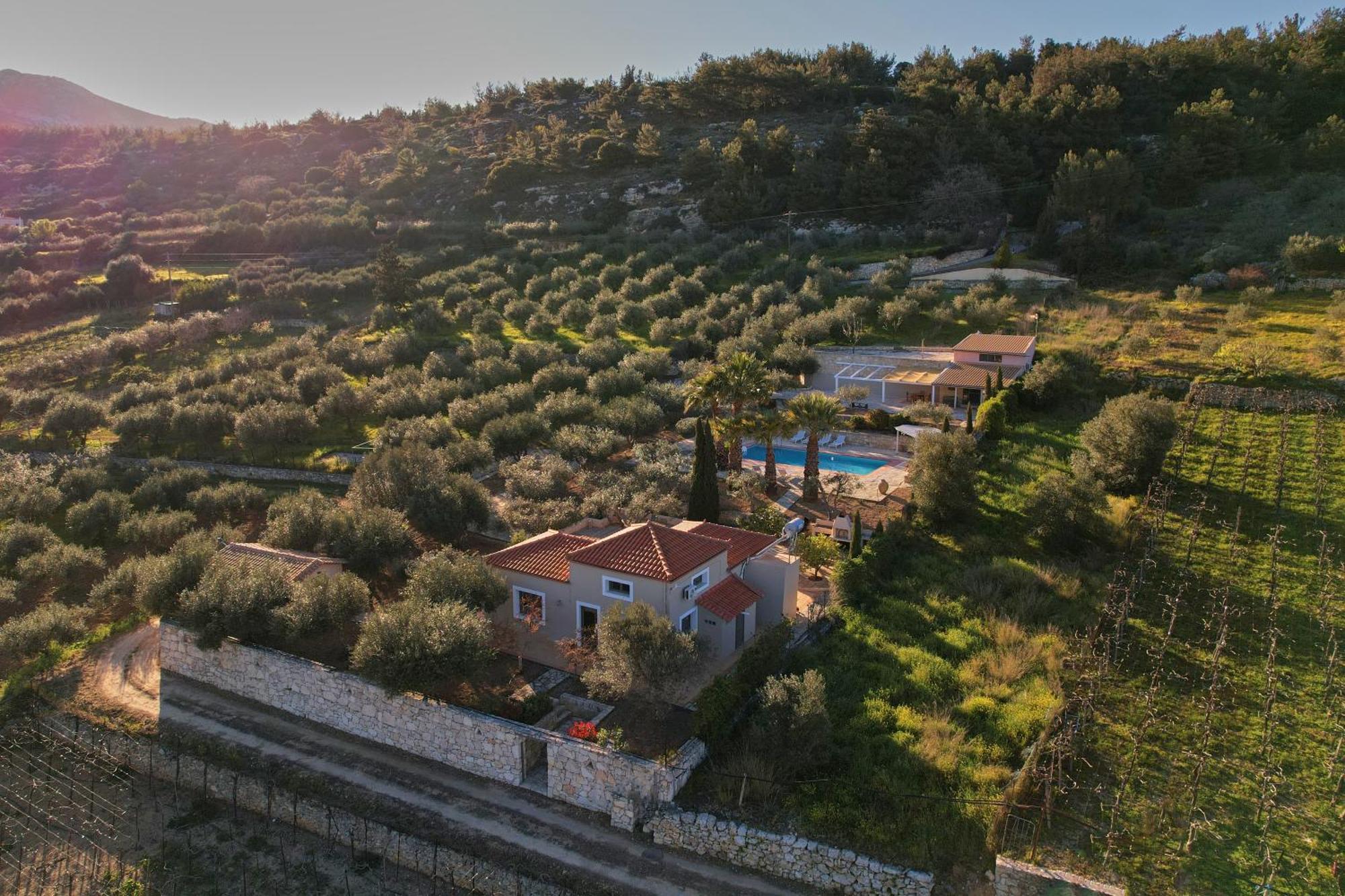 The Olive Grove With Swimming Pool And Breakfast Casa vacanze *