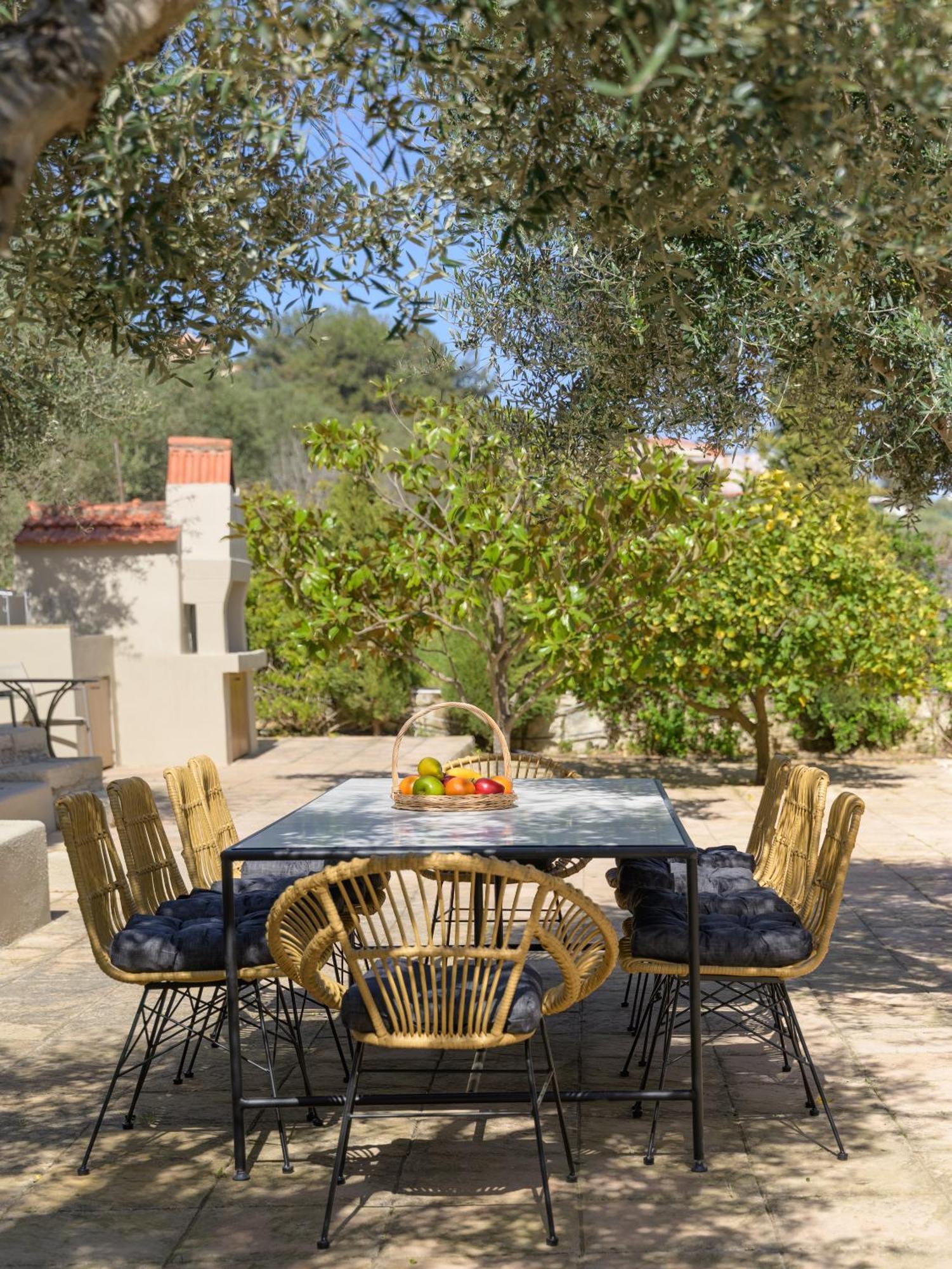 The Olive Grove With Swimming Pool And Breakfast Prázdninový dům