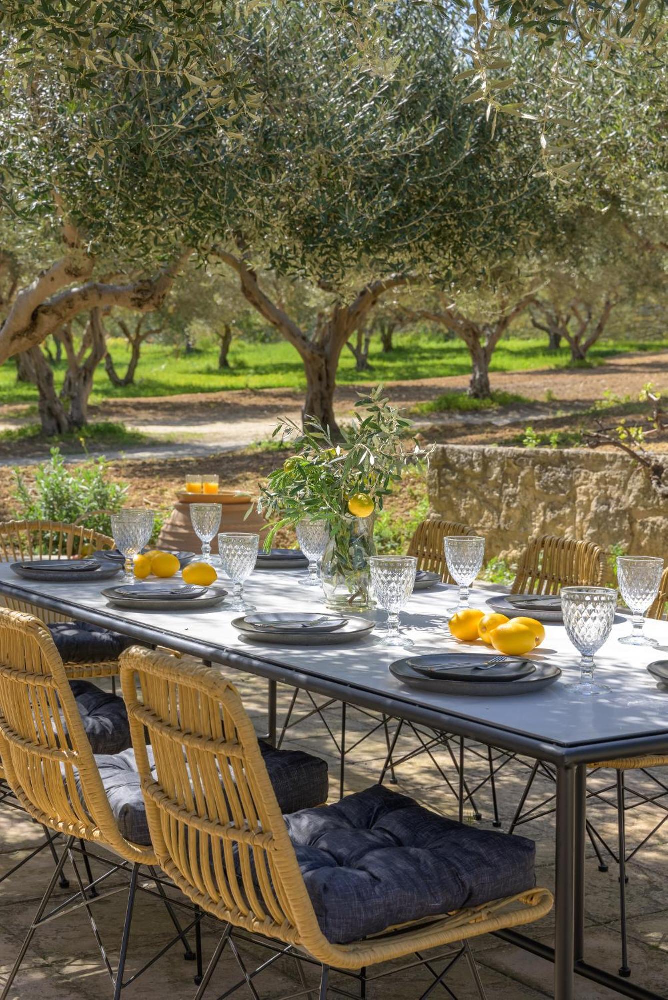 Hébergement de vacances The Olive Grove With Swimming Pool And Breakfast