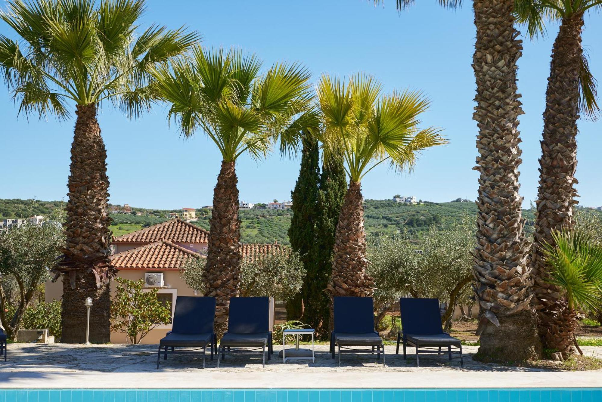 The Olive Grove With Swimming Pool And Breakfast Archanes