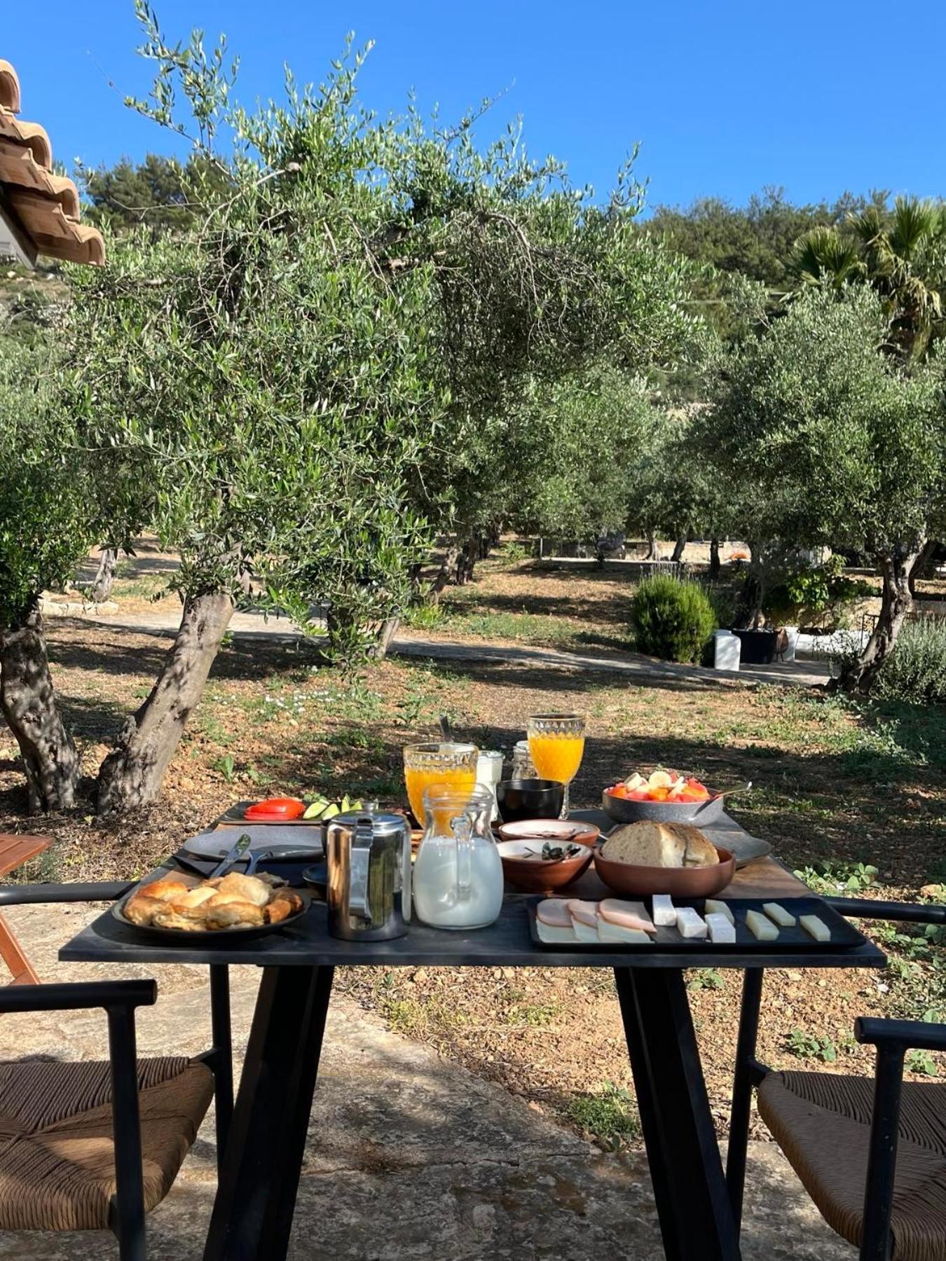 The Olive Grove With Swimming Pool And Breakfast * Αρχάνες