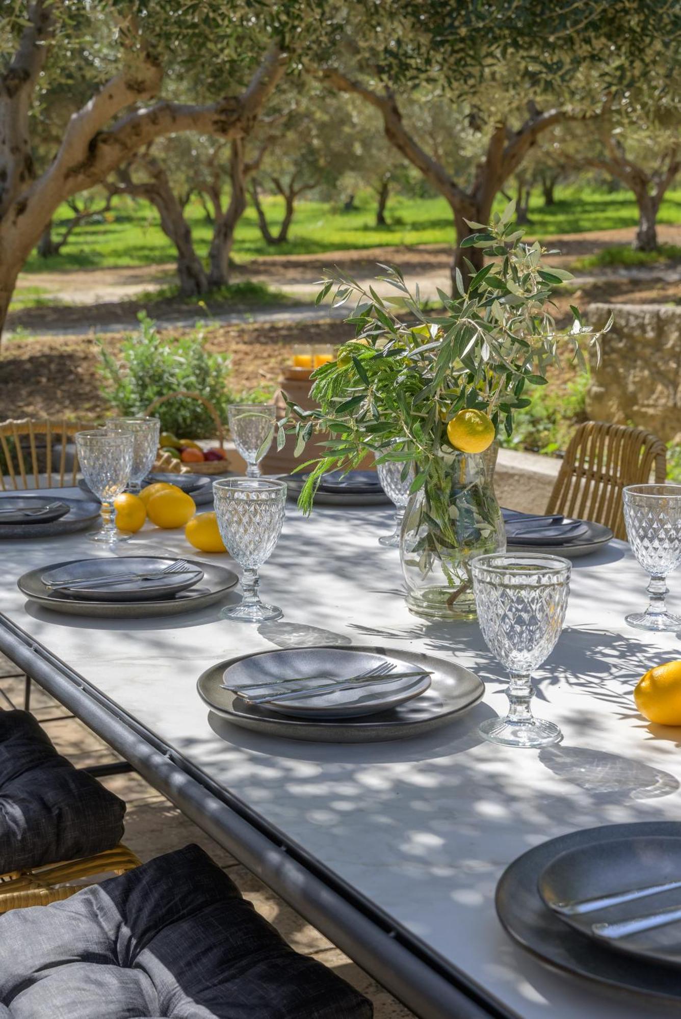 The Olive Grove With Swimming Pool And Breakfast